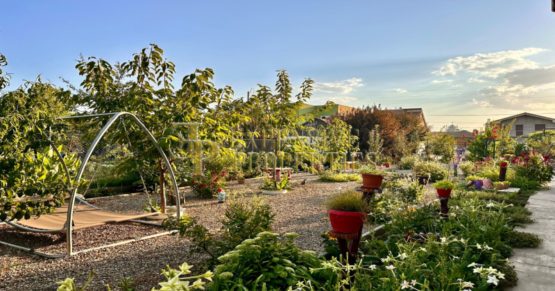 Casa (vila) de vanzare jud.Constanta: Palazu Mare ⭐ 2 etaje   8 camere: Residence Pomaria: gradina 2