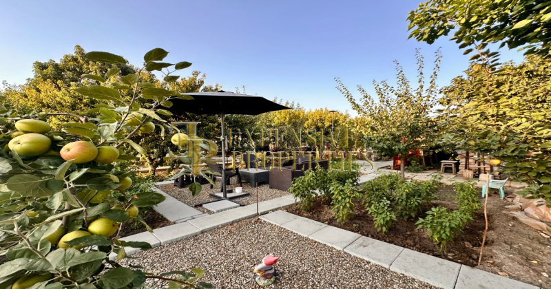 Casa (vila) de vanzare jud.Constanta: Palazu Mare ⭐ 2 etaje   8 camere: Residence Pomaria: gradina